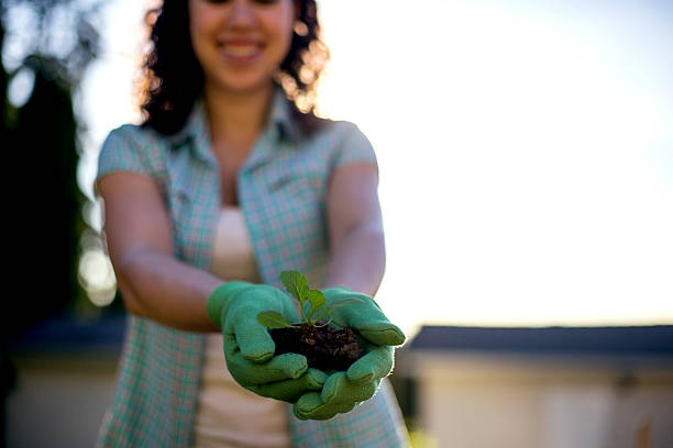 istock Hands holding healthy dirt and a green plant 599270726