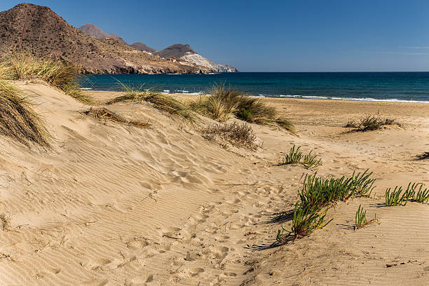 Genoese Los Genoveses beach. San Jose. Natural Park of Cabo de Gata. Spain. cabo de gata photos stock pictures, royalty-free photos & images