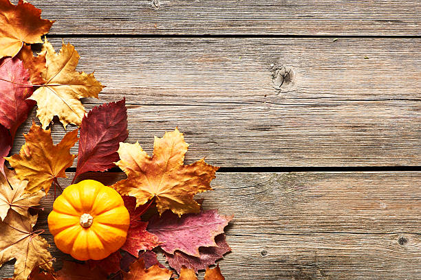 istock Autumn leaves and pumpkin 599272038