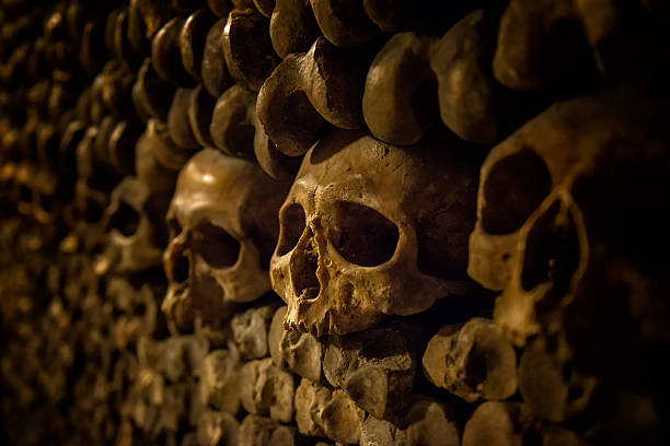 istock Skulls and bones in Paris Catacombs 599274368