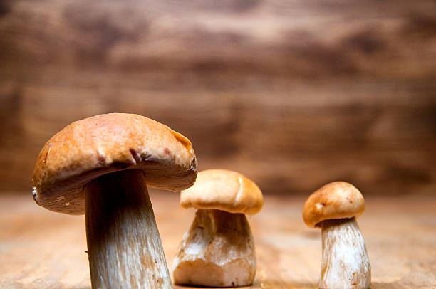 istock Mushrooms boletus on wooden table 599275838