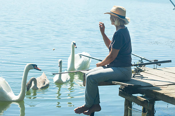 istock Woman with hat feeding swans 599275868