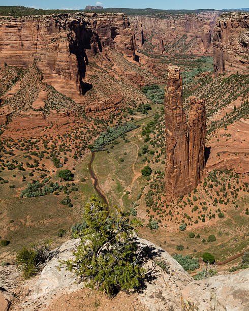 istock Spider rock canyon de chelly national monument Arizona trees river 599277406
