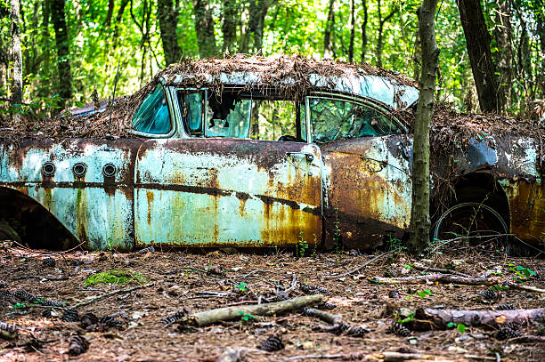 istock Derelict Classic American Cars 599282190