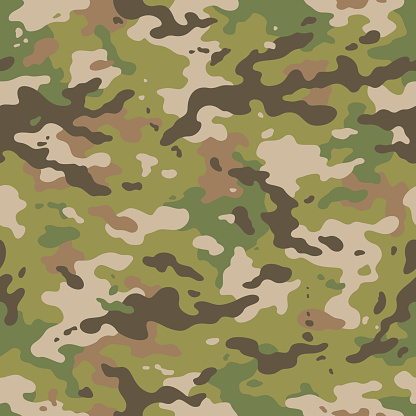 Military camouflage seamless pattern 2016