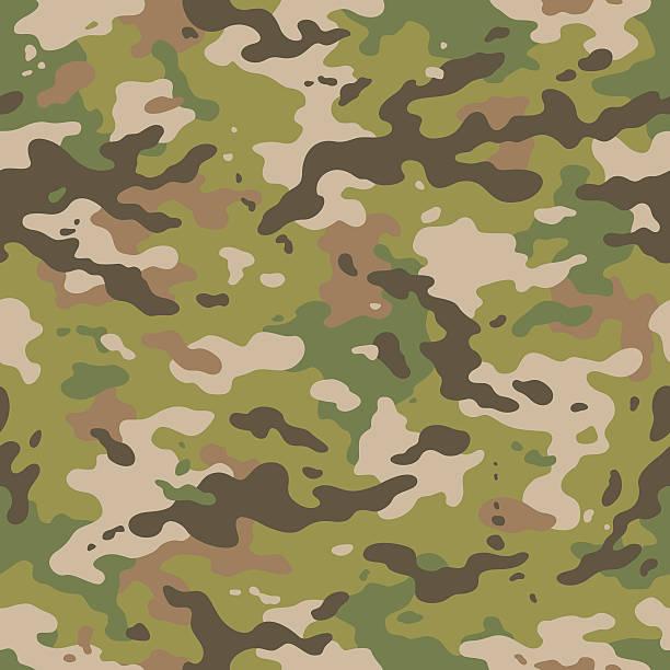 Camouflage seamless pattern Military camouflage seamless pattern 2016 camo pattern stock illustrations