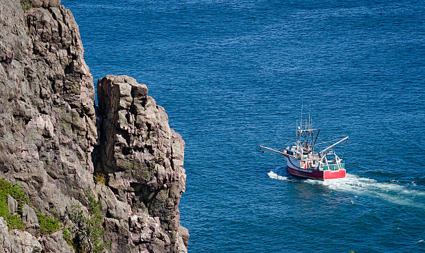 istock Fishing boat heads out from St. John's harbor Newfoundland, Canada. 599465638