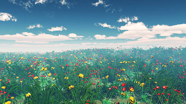 istock 3D poppy field landscape 599466412
