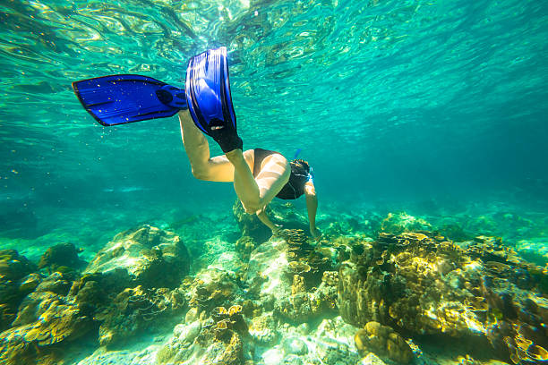 istock Snorkeling in the reef 599469806