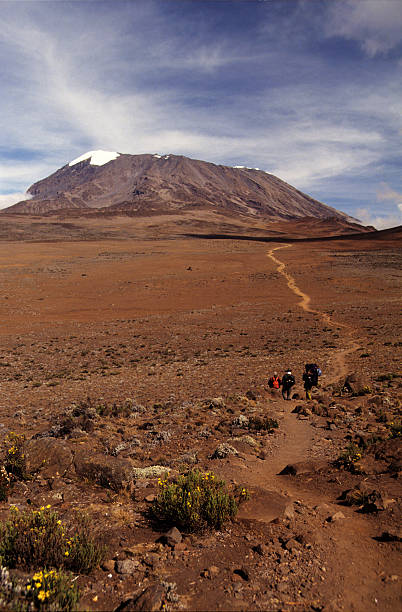 The saddle between Mt. Kilimanjaro and Mt. Mawenzi, Tanzania Tourists arriving at "The Saddle", a plateau between Mt. Kilimanjaro and Mt. Mawenzi, Kilimanjaro in the background mawenzi stock pictures, royalty-free photos & images