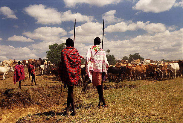 Same, Tanzania, 5th June, 2019: maasai warriors, jumping impressive haights to impress ladies