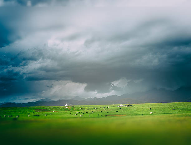 istock green grass against the sky 599471452