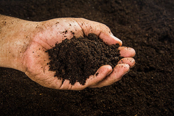 istock Hands dirty with clay , soil background 599471924