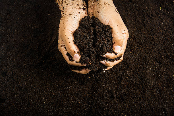 istock Hands dirty with clay , soil background 599474132