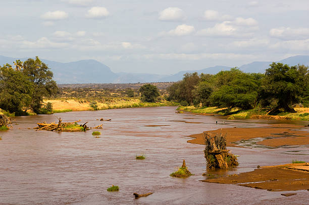 istock Ewaso Nyiro river, Samburu National Park, Kenya 599477020