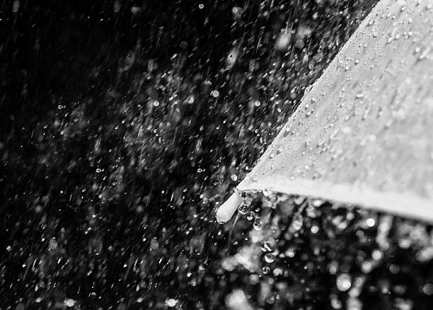 istock black and white color tone  for  Rain drops falling 599479938