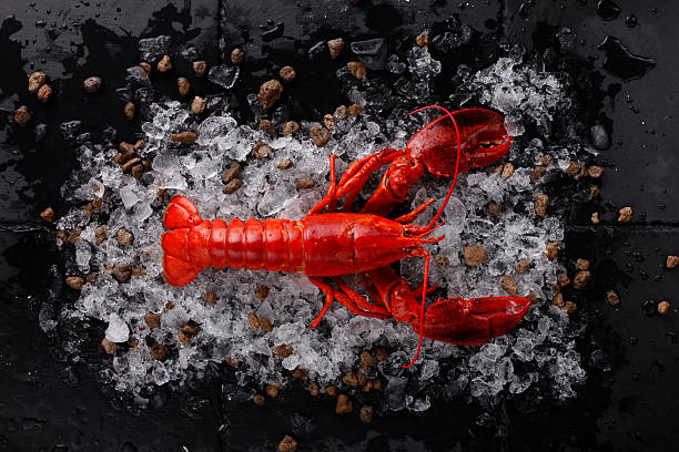 istock Red lobster with ice ,Fresh Lobster 599481216