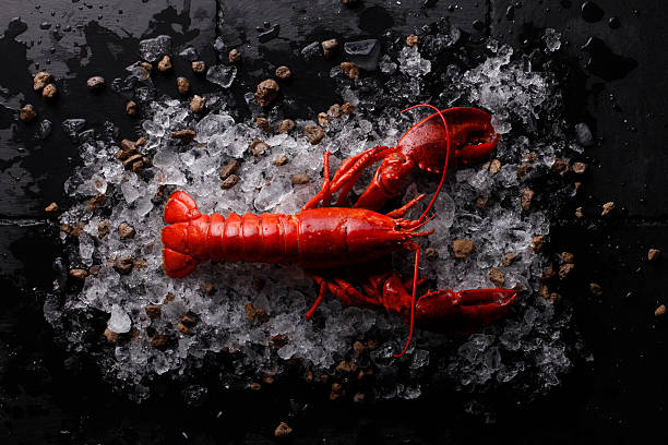 homard rouge avec glace ,homard frais - prepared shellfish seafood lobster ice photos et images de collection