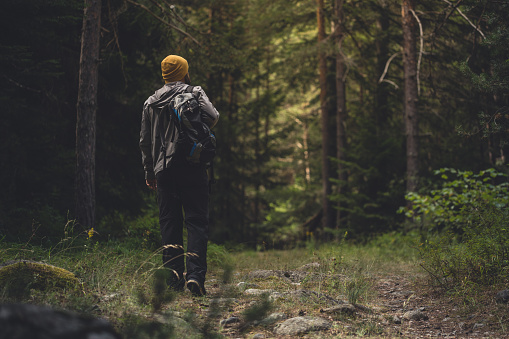 Traveler with backpack walks through the forest.