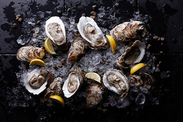 ostriche in pietra piatto con ghiaccio e limone - oyster foto e immagini stock