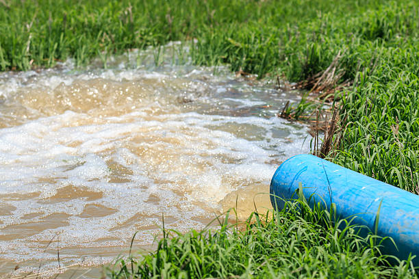 istock Water flow from large pump tube in rice field 599486968