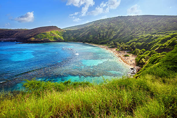 vista aérea da baía de hanauma, oahu, havaí - hanauma bay hawaii islands oahu bay - fotografias e filmes do acervo