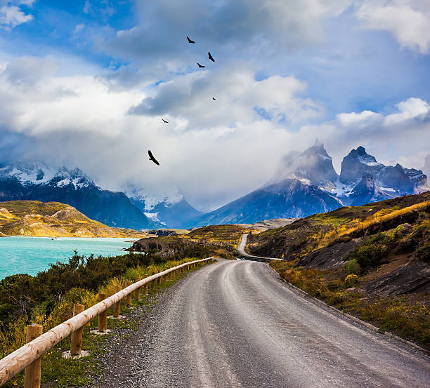 istock The road around the lake 599493036