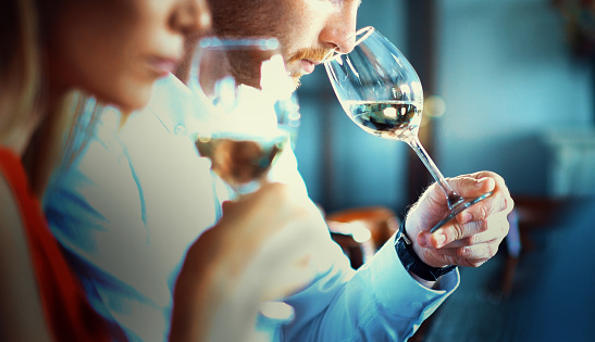 Closeup side view of two partially unrecognizable adults tasting wines. They are holding wineglasses close to their noses and smelling the wine while slowly shaking the glass.