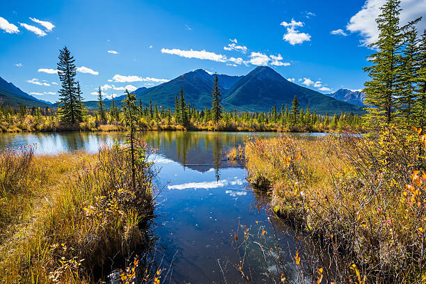 istock Indian summer in the Rocky Mountains 599495396