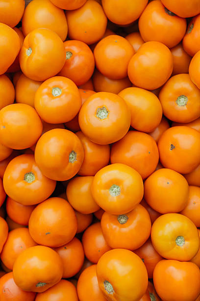 istock Pile of orange tomatoes 599499490