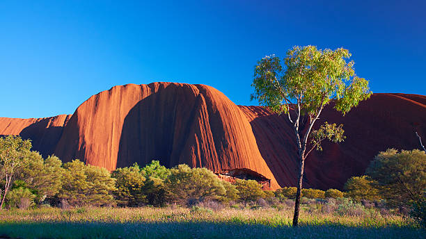 улуру пейзаж на рассвете  - aborigine grass family australia indigenous culture стоковые фото и изображения