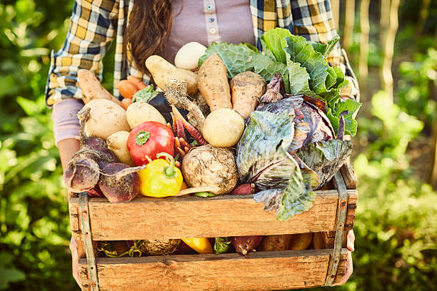 istock Midsection of female carrying various vegetables in crate at gar 599501846