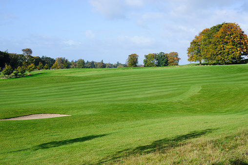 Beautiful sunny autumn day  on a golf course