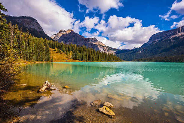 istock The water in the wooded mountains 599502654