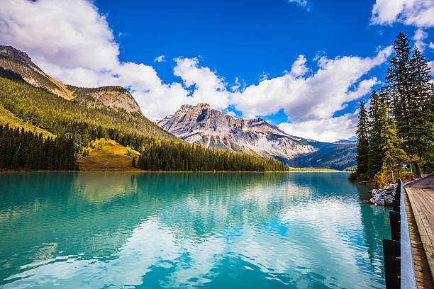 istock Sunny day in autumn 599503194