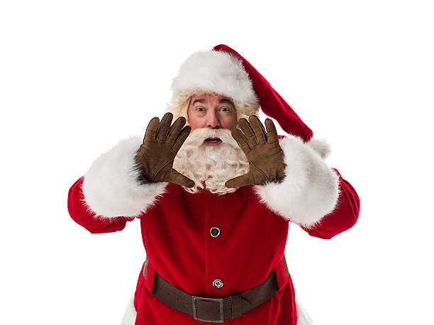 istock Santa Claus Portrait 599503222