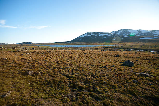 istock Mountain plateau Valdresflye, Jotunheimen, Norway 599503720