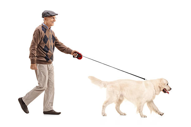 istock Mature man walking his dog 599503828
