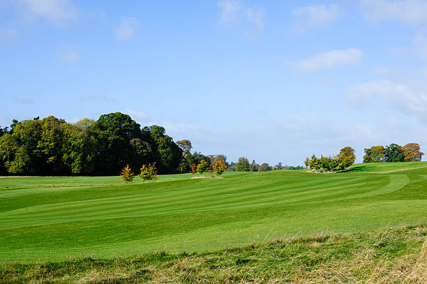 istock Autumn season on a golf course 599503948