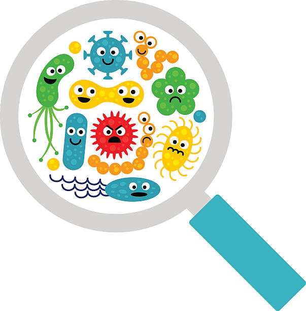 ilustrações, clipart, desenhos animados e ícones de imagem de lupa e bactérias engraçadas fofas, germes - bacterium virus magnifying glass green