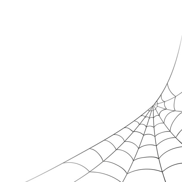 Vector Spiderweb on a White Background Vector Illustration of a Spiderweb on a White Background spider web stock illustrations