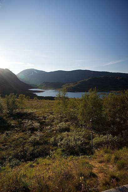 istock Mountain plateau Valdresflye, Jotunheimen, Norway 599506154