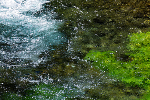 Emerald green flowing river water with seewead, abstract background, river Sourge, Fontaine-de-Vaucluse