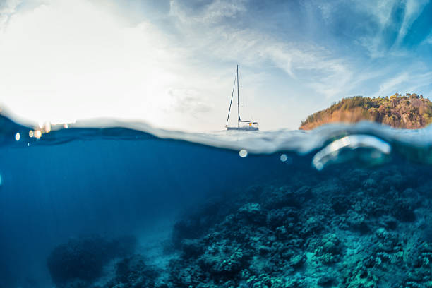 istock Boat in the ocean 599675238