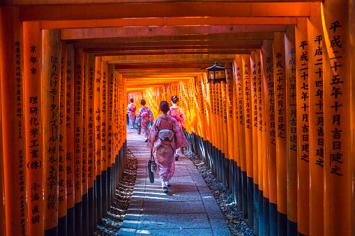 kyoto, japan - May 31, 2016: young japanese girls with kimono are walking thru gates of Fushimi-Inari temple in kyoto japan