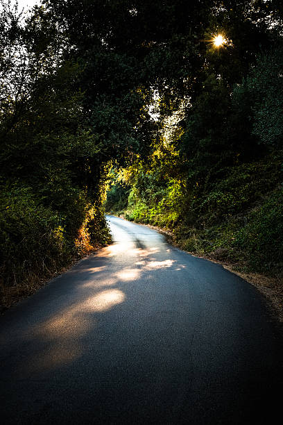 istock Untamed Corfu, Greece, Countryside 599678688