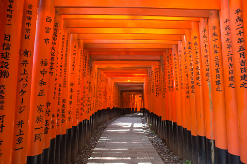 kyoto, japan - May 31, 2016: Historical Senbon torii gates are built on the way to Fushimi-Inari temple in kyoto japan