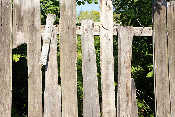 istock Old wooden fence grey color. Through the large cracks visible 599682432