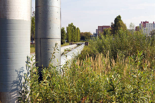 istock The pipes pass through the grass and bushes. The old 599682662
