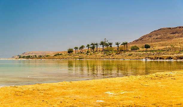 istock Public beach on the Dead See at Ein Bokek 599684678